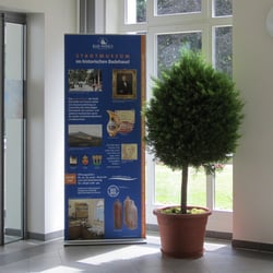 Stadtmuseum Bad Soden