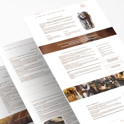 Webdesign