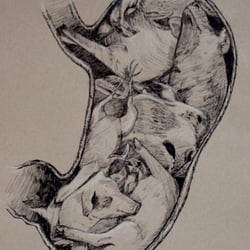 Illustration zum Thema „Tod“
