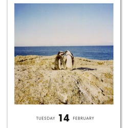 Poladarium 2012