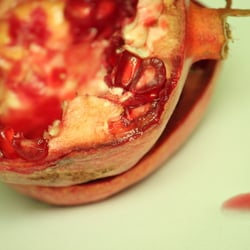 Granatapfel November 2012