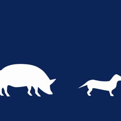 Illustration/Icons