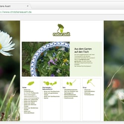 Website (statisch)