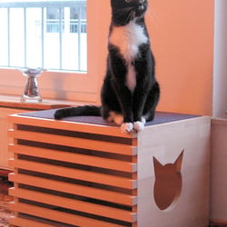 FLAT home