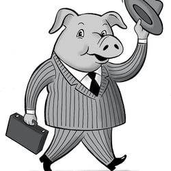 Herr Schwein