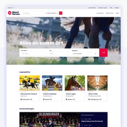 About Horses Plattform Konzept und Design
