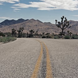 joshua tree park – californien