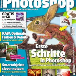 DigitalPHOTO Photoshop 04/2013, Artikel: Das Orakel des Meeres