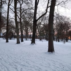 Winter in Bremen