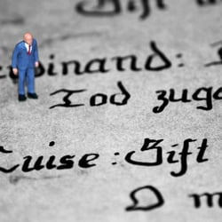 Kamikaze und Liebe
