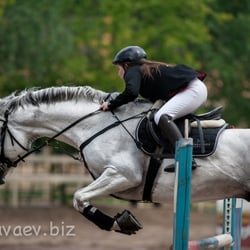 Vielseitigkeitsreiten