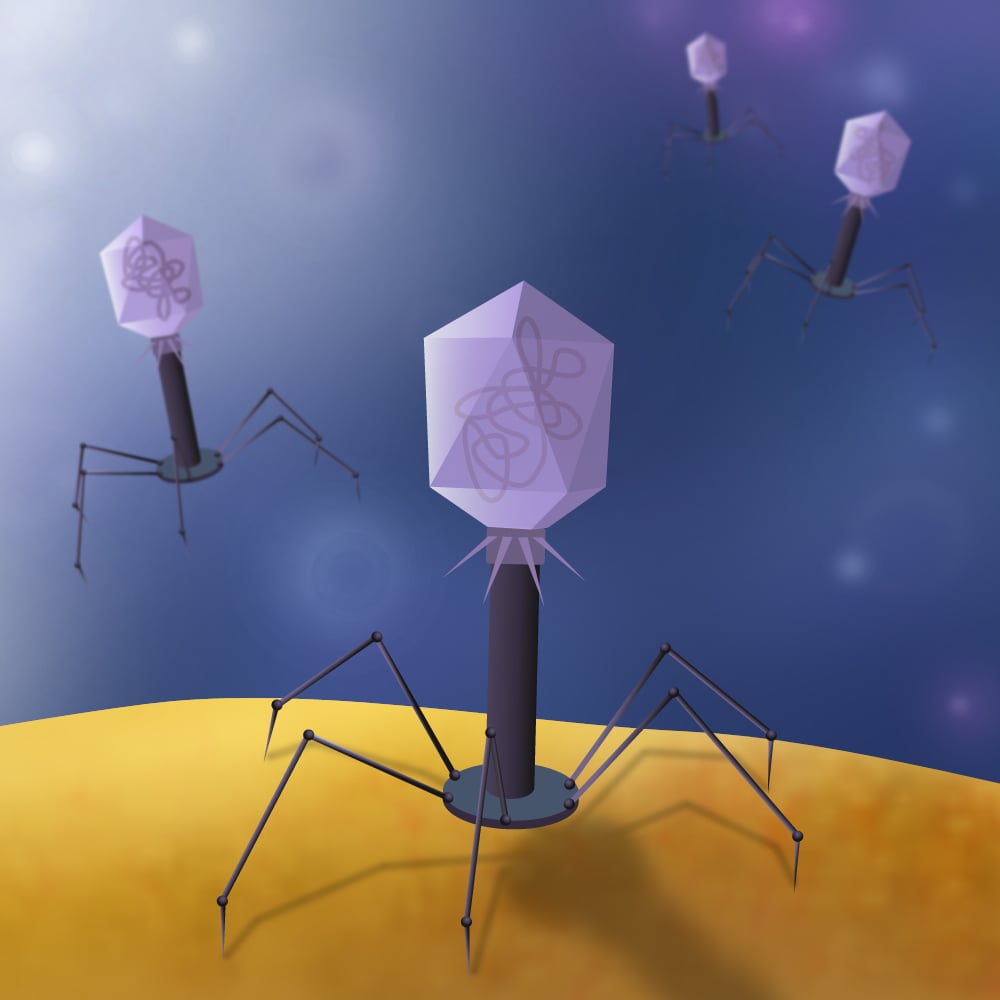 Virus befällt eine Zelle