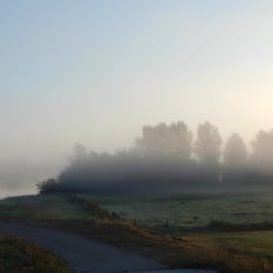 DSCN6737a