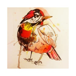 Bird