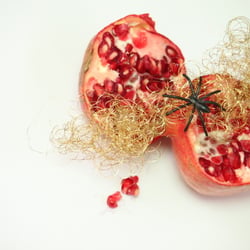 Granatapfel November 2012