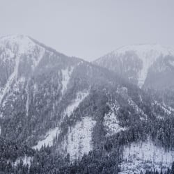Monochrome – Nebel