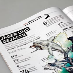 Hai-Illustrationen für das ARTE Magazin