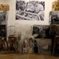Taubenmarkt Museum Wasserburg 2019 17