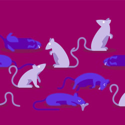 Aus dem Video „What Is The Most Dangerous Drug In The World?“