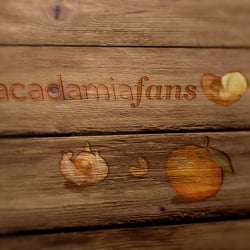 Logodesign: Gesund naschen