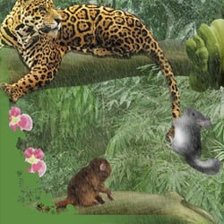 Kinderbuch: Regalitos Suche