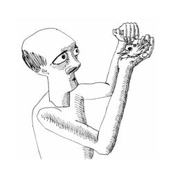 Illustration