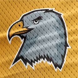 Mascot Logodesign