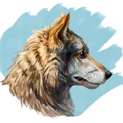 wolf portrait
