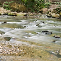 Die Düssel im Neandertal