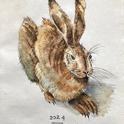 Feldhase nach AD, 1502