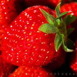 Erdbeeren
