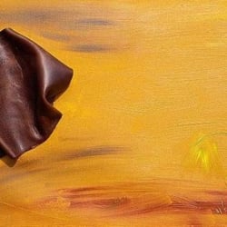 Collage auf Öl – Leather in nature