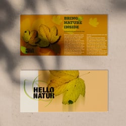 Illustrator, Design und Gestaltung