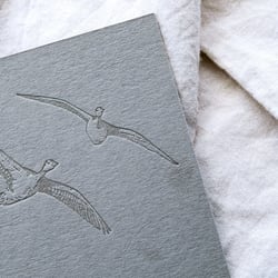 Detailfoto Wildgänse-Illustration