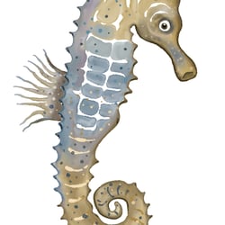 seepferd