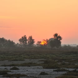 Frankreich, Camargue