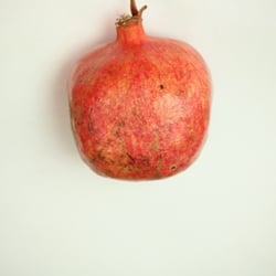 Granatapfel November 2012