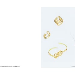 Portfolio Irene A.Thomaz