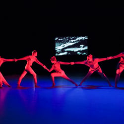 Performing, Moving, Imaging Landscapes