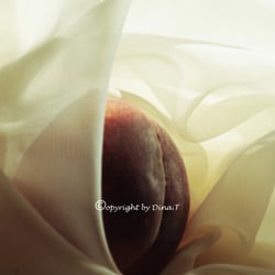Food 23.08.14