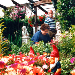 Schrebergarten 5