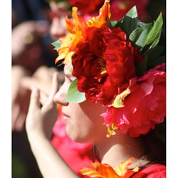 Festa do Flor