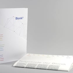 Bionik für die Schule