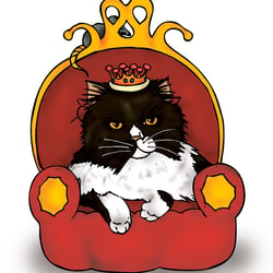 Katzen