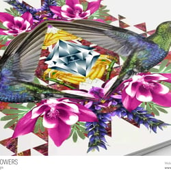 Grafikdesign – Colibri Flowers