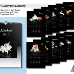 Muschelkalender 2010