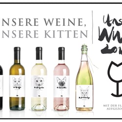 kater & sohn 1