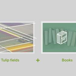 Wie ich die Lösung aus Tulpenfeldern und Büchern entwickelt habe