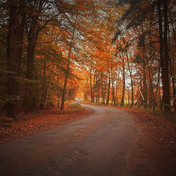 Autumn II