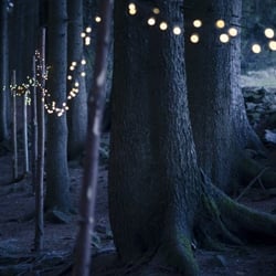 Lichterzauber